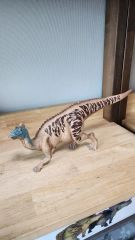 まるで剥製 リアルなオオトカゲフィギュア - メルカリ