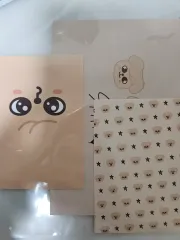 Stray Kids(ストレイキッズ・スキズ・SKZ) アンコールコンサート アンコン ポップアップ スンミン(SEUNGMIN) PuppyM パピーム カード COVER カバー ステッカー セット はがき 特典