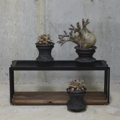 アイアンシェルフ　アイアンラック　植物棚　アガベ　多肉植物 image_1745652185028.jpg?fitin=
