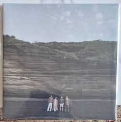 Ambient Waves From Niigata LP レコード レア！ - メルカリ