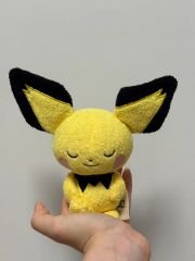 ポケモンセンターオリジナルブラッキーおやすみver - メルカリ
