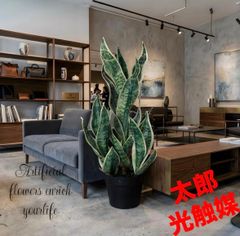 光触媒 人工観葉植物 ウォールグリーン フェイクグリーン ニュー