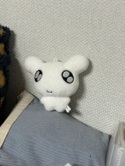 ハンドメイド ぬいぐるみ ホワイト ぽなかすいたね - メルカリ