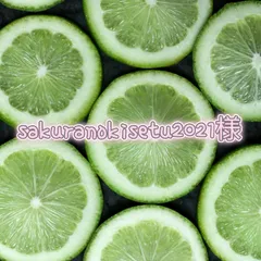 ブックカバー　sakuranokisetu2021様