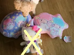 まとめ DAISO サンリオ リトルツインスターズ ララ キキ クッション ぬいぐるみ