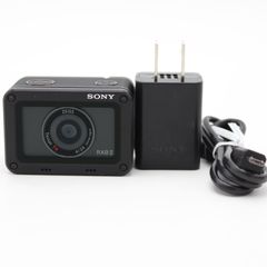 ショット数101796回！□美品□ NIKON デジタル一眼レフカメラ D4S