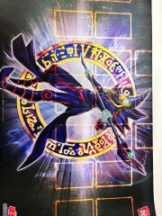 最速発送】メガゲンガーex プレイマット ポケモンカード - メルカリ