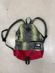 Supreme × The North Face Snakeskin bag
