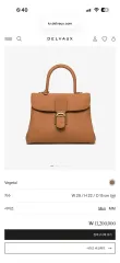Delvaux（デルヴォー） ブリアン MM (ロデオ・ベジェタル カラー)のサムネイル