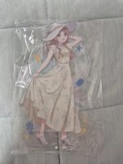 ウマ娘 BIGアクリルスタンド バカンス アグネスタキオン＆マンハッタン ウマ娘アグネスタキオンマンハッタンカフェBIGアクリルスタンドバカンス