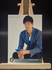 超希少】 大谷翔平 プロ初登板 観戦証明書 163km 164km 4枚セット