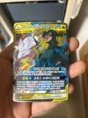 レシラムゼクロム ポケモンカード