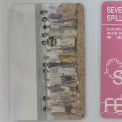 SEVENTEEN エスクプス The Feelsトレカ