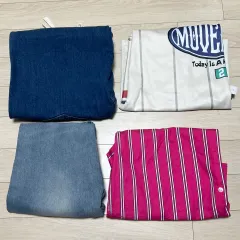 レディース ファッション 4点 まとめ (未使用品含む デニム シャツ ラグビージャージ Tシャツ)