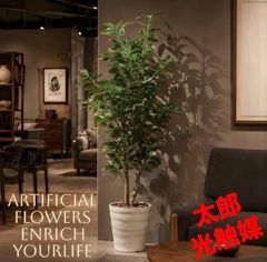 光触媒 人工観葉植物 ウォールグリーン フェイクグリーン ブラッサイア