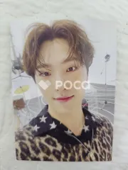 Seventeen ディノ セブチ DREAM Photo Card
