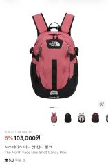 韓国限定 ノースフェイス RECON MINI リュック ピンク ミニサイズ