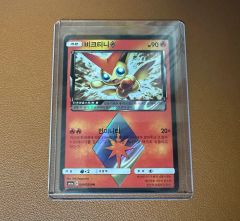 ビクティニV：ポケモンカードゲーム チャンピオンシップシリーズ2022