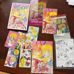 GALS! カラーページセット 切り抜き 藤井みほな - メルカリ