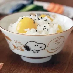 《お買い得》ブラウンパルスヌーピー 飯碗 スヌーピー １個 ●3870151Hのサムネイル