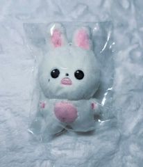 ALD1 サンウォン　マスター　ぬいぐるみ　うさぎ　未開封 ALD1 サンウォン マスター ぬいぐるみ うさぎ 未開封 - メルカリ