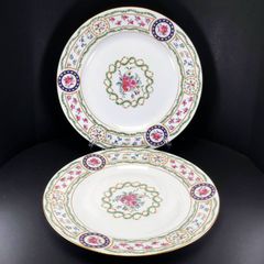 Haviland アビランド ルーブシエンヌ 皿 プレート 2枚セット 19cm