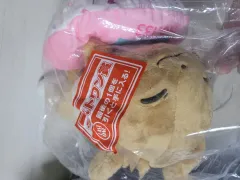 ポケモンストア 一番くじ ラストワン賞 イーブイ ぬいぐるみ 未開封