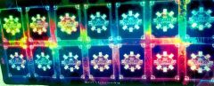 遊戯王 プレイマット はっちcs 虹 レインボー ハーフマット2023 上位賞