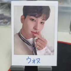SEVENTEEN(セブンティーン・セブチ) ウォヌ(WONWOO) Ode to you トレカ
