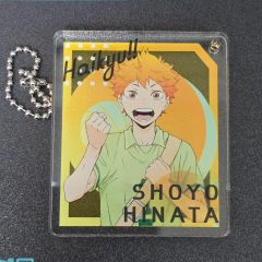 ハイキュー‼︎BIGオーロラブロッキー日向翔陽 - メルカリ
