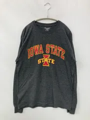 Champion チャンピオン Tシャツ/カットソー L グレー 前面プリント ブランドロゴ ミドル丈 長袖 クルーネック(丸首)