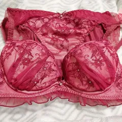 新品  チュチュアンナ 運命のブラ  上下セット ブラ＆ショーツ  レッド 赤 ワインレッド  くっきり谷間   可愛い 上品  レース  刺繍    選べるサイズ  D65   C70   定価3498円  260