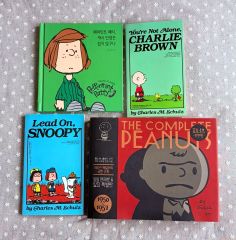 psさん専用 アートブック デヴィッド・シュリグリー - メルカリ