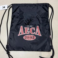 極美品 未使用級 早稲田大学 ロゴ入り ナップサック WASEDA - メルカリ