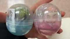 東京リベンジャーズ(東リべ) 東京リベンジャーズ(東リべ) 東京リベンジャーズ(東リべ) おねむたん 1탄 松野 千冬 ドラケン 龍宮寺 堅