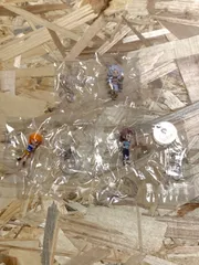 From TV animation ONE PIECE    ワンピの実 第二十四海戦　 全3種3個まとめ売り   リーフレット３枚付き　シュリンクカプセル無し