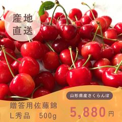 【クール便着払い】山形県産さくらんぼ　佐藤錦　贈答用　Lサイズ　秀品　1キロ クール便着払い】山形県産さくらんぼ 佐藤錦 贈答用 Lサイズ 秀品 1