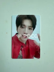 インフィニット ナム・ウヒョン 2024 NAM WOO HYUN CONCERT シッモギル4 - TREEWORLD MESSAGE PHOTO CARD SET