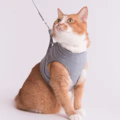 【訳ありB級品】ぽぽねこ 猫に優しいベスト型ハーネス・リード付き（日本製・オーガニックコットン・着せやすく脱げにくい） (ブルー, L)