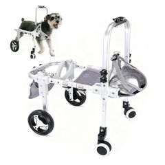 中古】小型犬4輪 リハビリ 食事補助 犬用車椅子 床ずれ防止 犬の歩行器