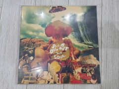 GAGLE x Ovall レコード 2LP - メルカリ