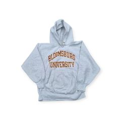 極上の雰囲気】90s Champion リバースウィーブ フーディー ナス紺