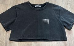 人気】AlexanderWang⭐︎クロップドTシャツXSサイズ黒ウォッシュ加工