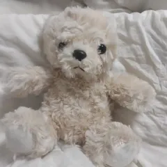 ベージュのクマのぬいぐるみ