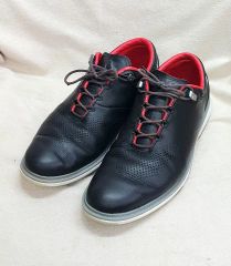 ナイキ ジョーダン ゴルフ NIKE Jordan ADG 4 26.5cm - メルカリ