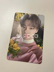 Seventeen ディノ セブチ Your Choice ONE SIDE Ver.