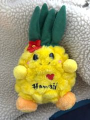 希少 ビンテージ Aloha! HAWAII ハワイ パイナップル ぬいぐるみ