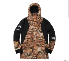 L シュプリーム THE NORTH FACE ザノースフェイス 落葉 ジャケット