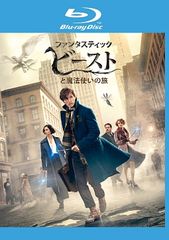 [중고] 환상적인 비스트와 마법사 여행 + 검은 마법사의 탄생 (2 권 세트) [렌탈 떨어짐] [Blu-ray] [블루 레이]