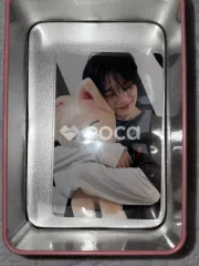 straykids アイエン Stray Kids World Tour dominATE : celebrATE SKZOO PHOTOCARD TINCASE